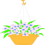 Hanging Basket