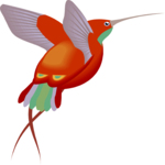 Hummingbird 05 Clip Art