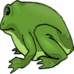 Frog 10