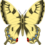 Butterfly 091 Clip Art
