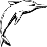 Dolphin 20 Clip Art