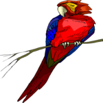 Parrot 14 Clip Art