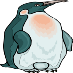 Penguin 19
