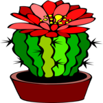 Cactus with Flower 4