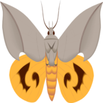 Moth 40 Clip Art