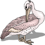 Pelican 21 Clip Art