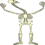 Skeleton 14 Clip Art