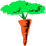 Carrot 09 Clip Art