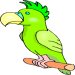 Parrot 21