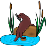 Otter with Fish 1