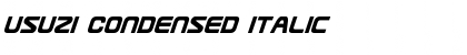 Usuzi Condensed Italic Font