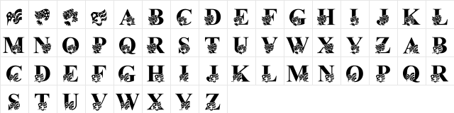 LMS America LSF Regular  glyph index