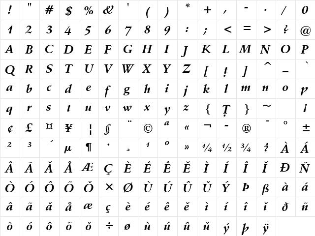 VANIEL 1 Bold Italic  glyph index