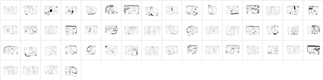 Sipirit of Montezuma Four Regular  glyph index