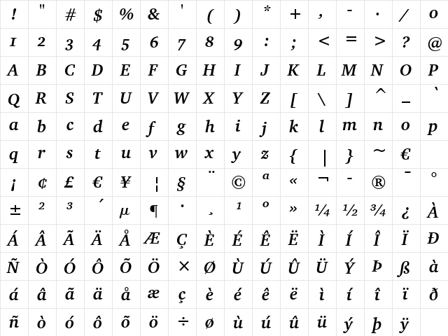 Charter Bd OSF BT Bold Italic  glyph index