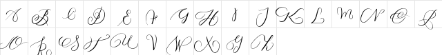 MONOGRAM Z Regular  glyph index