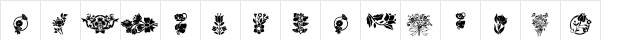 101! Floral Designs 1 Regular  glyph index