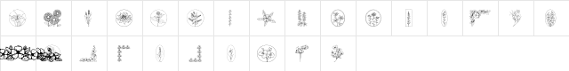 Wildflower Regular  glyph index