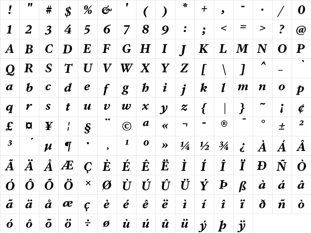 DB Serif Bold Italic  glyph index