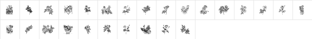 Rose Regular  glyph index