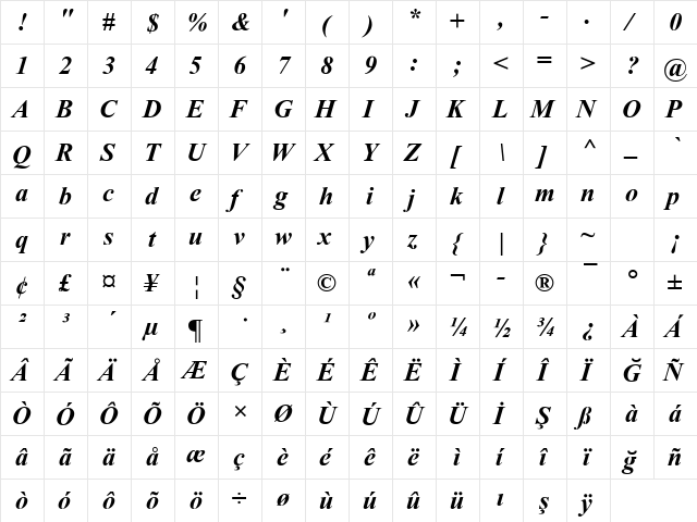 Turkish Times New Roman Bold Italic  glyph index