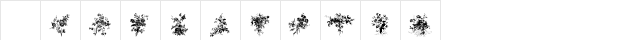Florals1 Regular  glyph index