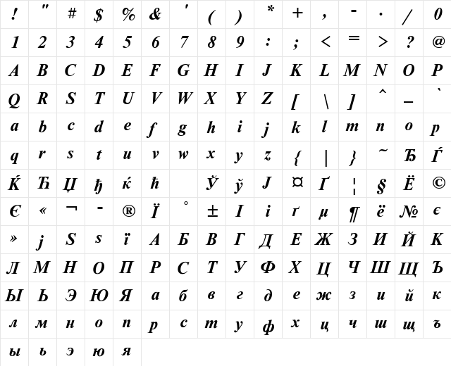 NewtonCTT BoldItalic  glyph index
