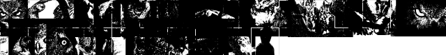 AParliamentofOwls Regular  glyph index