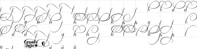 Ambassador Script Swashes Regular  glyph index