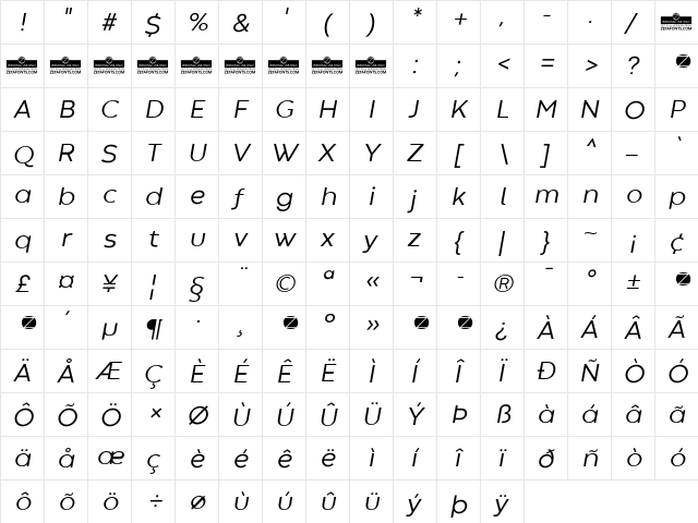 Codec Warm Trial News Italic  glyph index