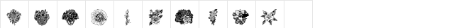 Destinys Flowers Regular  glyph index