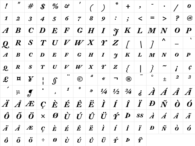DTL Fleischmann D Bold Italic Caps  glyph index