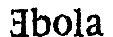 Ebola Kikwit font free download