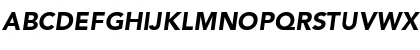 Download Avenir LT Std 95 Black Oblique Font