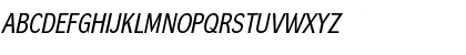 Download DynaGrotesk RM Italic Font