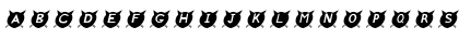 Download CatsMeow Italic Font
