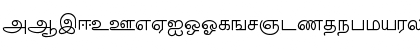 Download TM-TTValluvar Normal Font Download TM-TTValluvar Normal Font