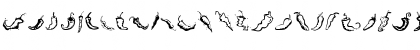 Download ChiliPepper Dingbats Regular Font