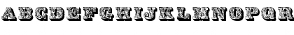 Download DS Lettres omb饳 orn饳 Regular Font Uppercase Preview