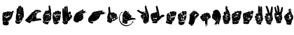 Download ASL Hands By Frank Regular Font