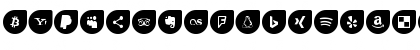 Download Icons Social Media 12 Regular Font