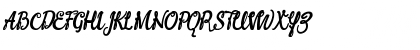 Download Winstone Regular Font