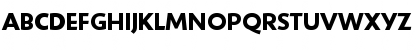 Download ShinnBold Regular Font