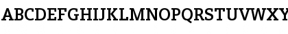 Download Siemens Slab Bold Font