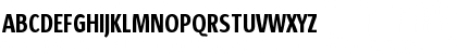 Download Sun Sans Condensed- SunSansCondensed Demi Font