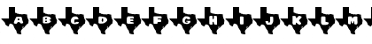 Download Texas Regular Font