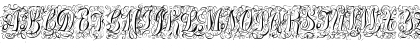 Download Treasury Flourish Silver Regular Font