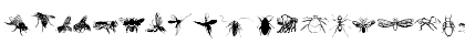 Download Insects Regular Font