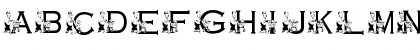 Download KG GROCERY Regular Font