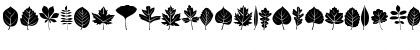 Download Leaves Medium Font